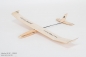 Preview: Lilienthal 40 Freiflugmodell mit und ohne RC fliegbar, optional mit Motoraufsatz