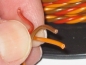 Preview: PVC Servokabel 3x 0,14qmm verdrillt / verseilt LiFY Farben Gr./JR Meterware Nessel