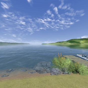 Preview: RealFlight Trainer Edition RC Flight Simulator with WS2000 Wireless Simulator USB Dongle RFL-1212