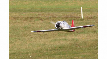 Racewulf RR von Multiplex 1-01771